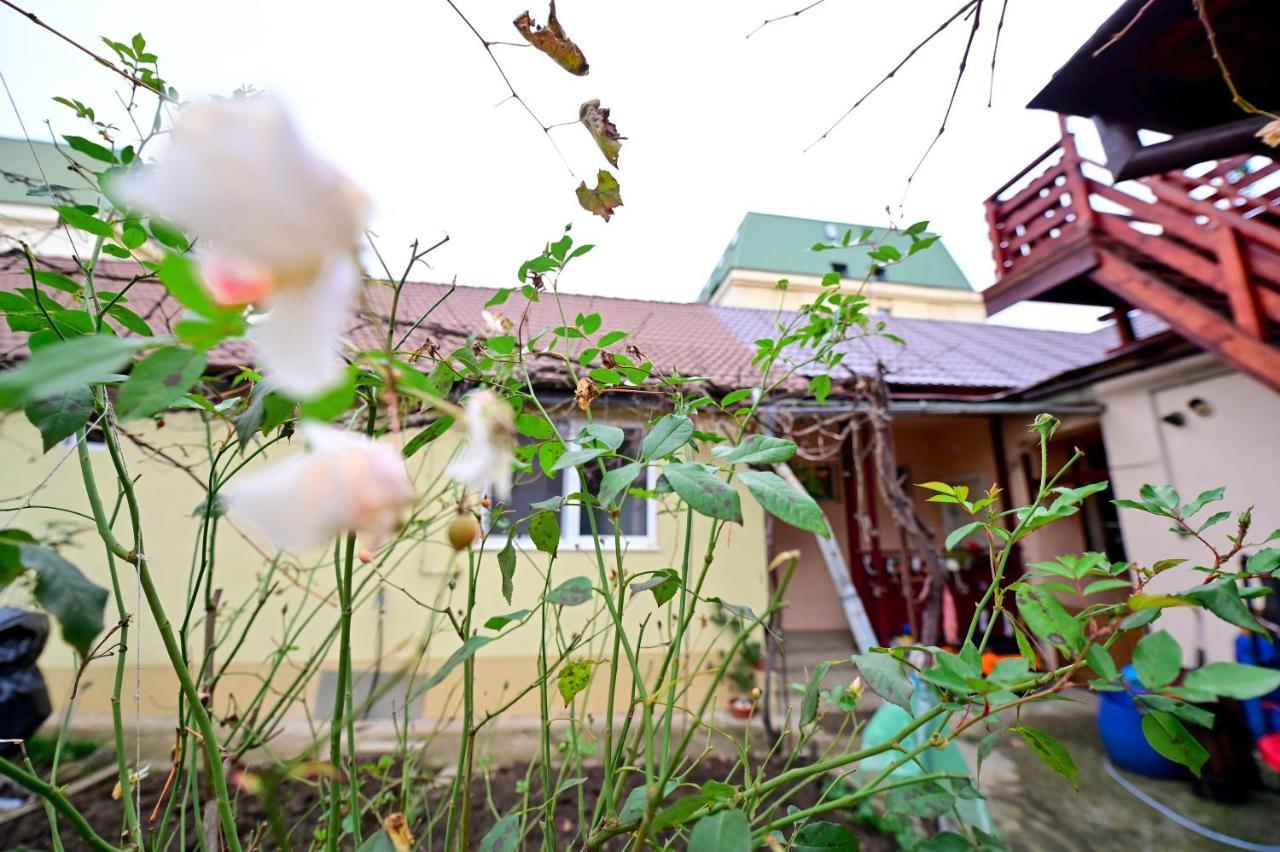 Flh - Kaly'S Place Sibiu Ngoại thất bức ảnh